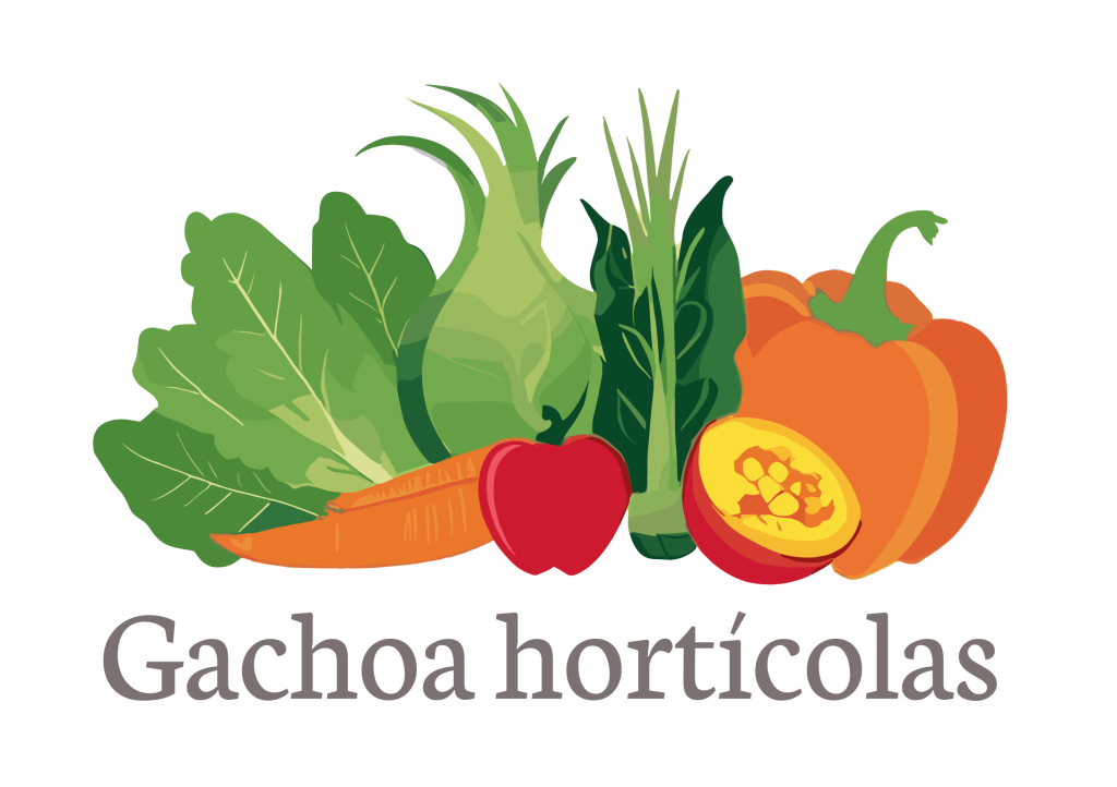 Gachoa productos directos de la huerta
