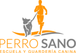 Perro Sano